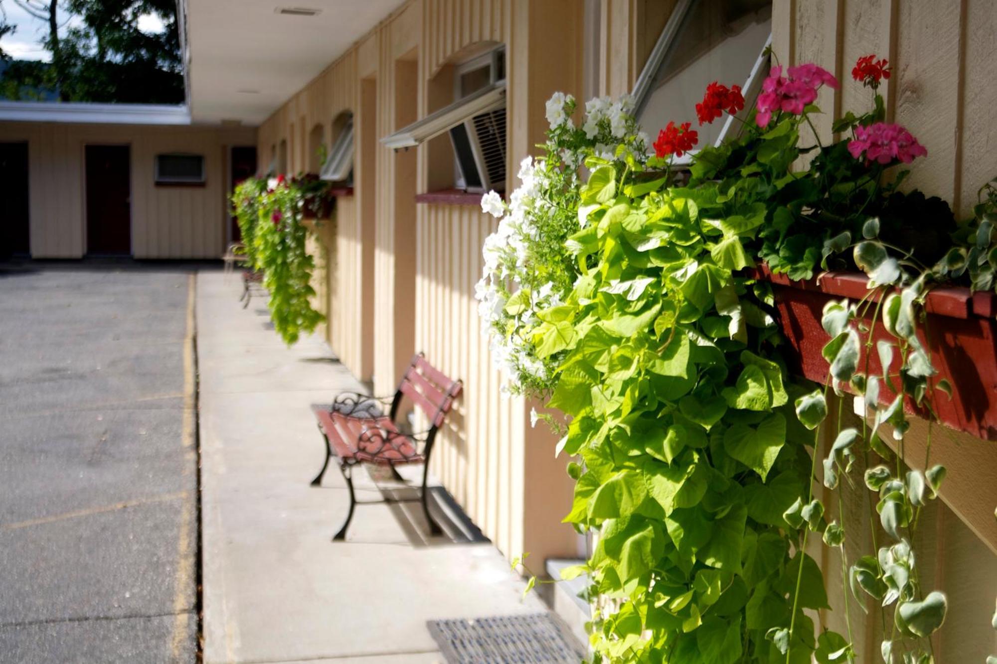 לבנון Sunset Motor Inn מראה חיצוני תמונה